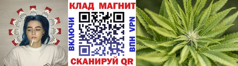 Виды наркотиков купить Слюдянка Каннабис Меф Гашиш