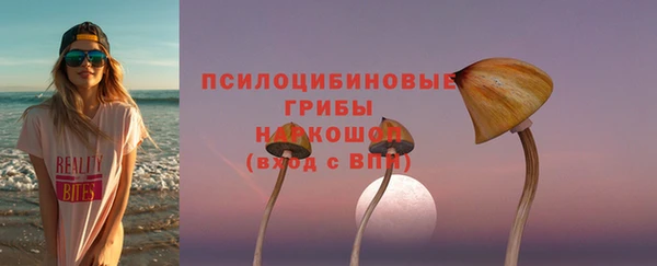 ешки Алзамай