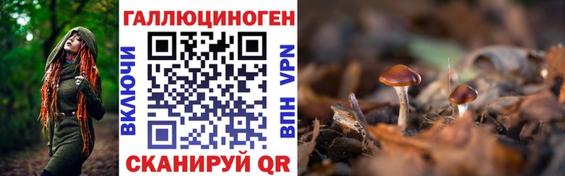 Псилоцибиновые грибы Psilocybe  Слюдянка 
